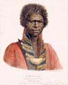 bungaree a native chief of n s wales